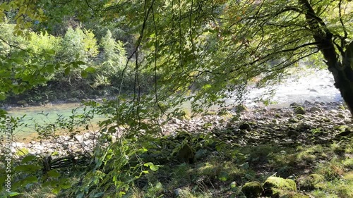 Trail to Kupa river spring landscape