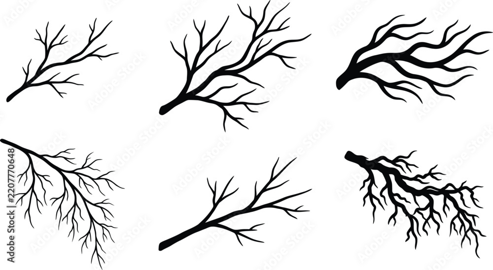 Obraz premium Black Tree Branches Silhouette Vector Set, Bare Winter Twigs and River Delta Vein Elements, Bare Tree Branch Isolated Icons