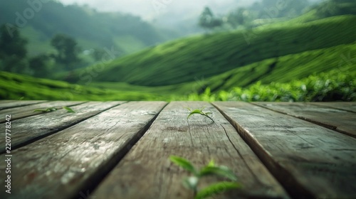 Perfect backdrop for product displays or key visual design. 