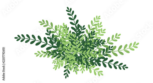 Beautiful green branch leaf bouquet illustration centered on a plain white background for minimalist designs.