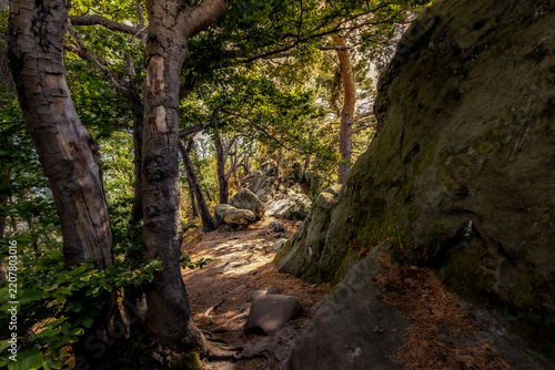 Sommerwandern
