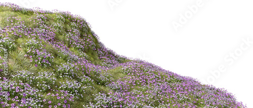 Blossoms vibrant nature flowery slope on transparent background 3d rendering png