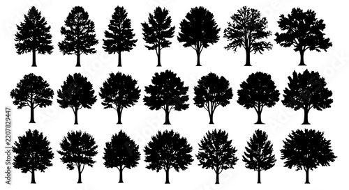 Forest trees. Tree, forests composition and isolated trees vector silhouettes set. Forest trees. Foresting botanical woodland or park tree trunk signs. JPEG version.