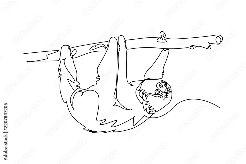 Obraz premium Single one line drawing animal sloth hanging upside down on a tree branch. Tropical jungle fauna conservation, and exotic nature biodiversity. Continuous line draw design graphic vector illustration