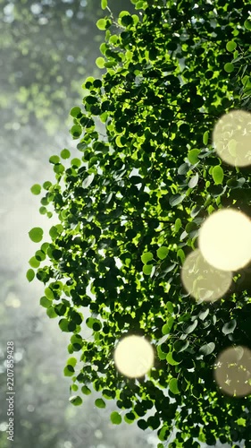 Vibrant Green Leaves of a Tree Glowing With Golden Bokeh Lights and Sunlight Filtered Through Foliage
