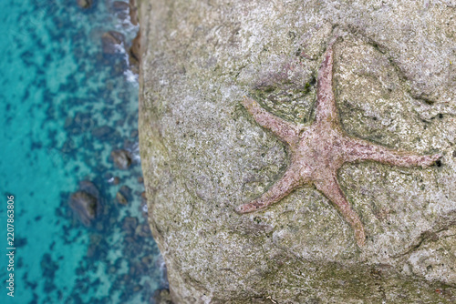 Closeup view of a starfish fossil on a stone by the seashore. Horizontally. 