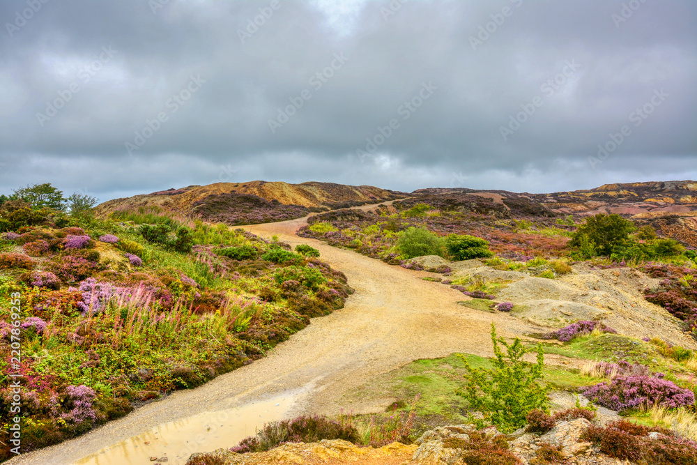 Obraz premium Parys Mountain Anglesey, Wales 1 