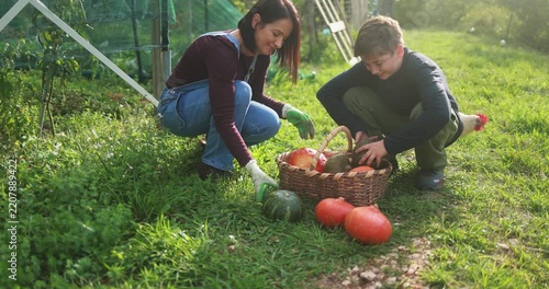 Happy mother and son collecting organic pumpkins with chicken in background inside vegetable home garden - Family people having fun during fall season - Autumn lifestyle concept - UGC content