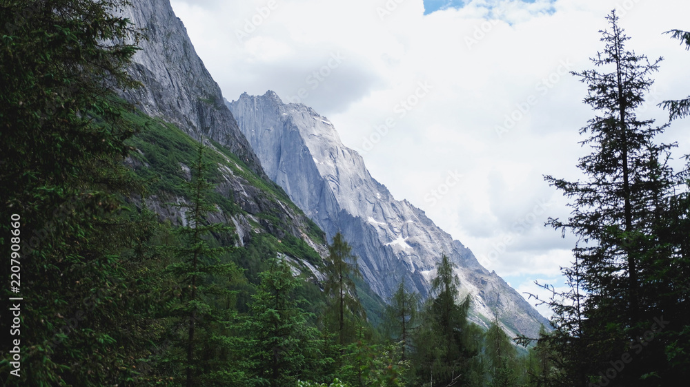 Obraz premium The snow mountain range and pine trees forest in Chengdu China