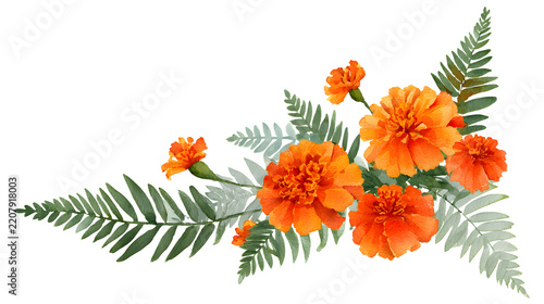 Delicate watercolor floral corner arrangement with orange flowers