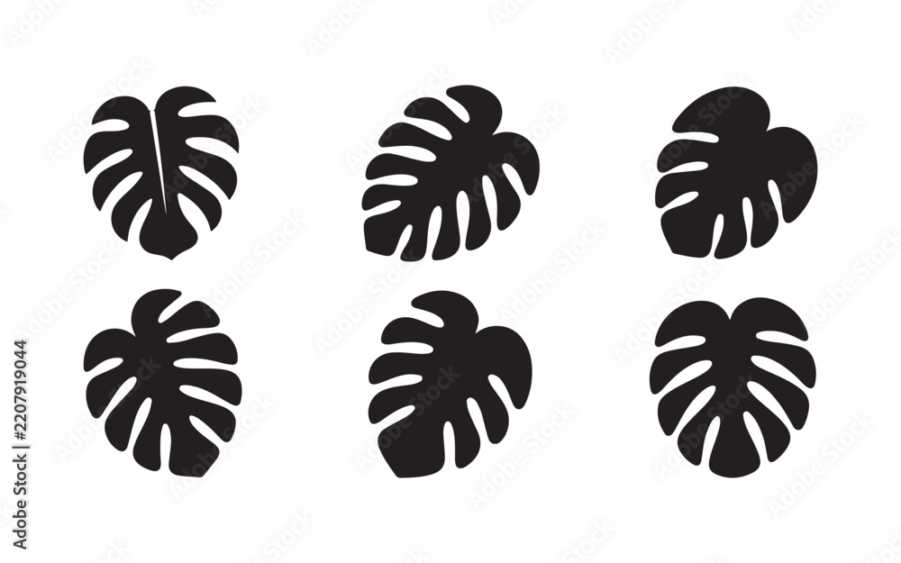 Obraz premium Monstera deliciosa tropical leaf silhouette collection in black flat design for botanical pattern elements.