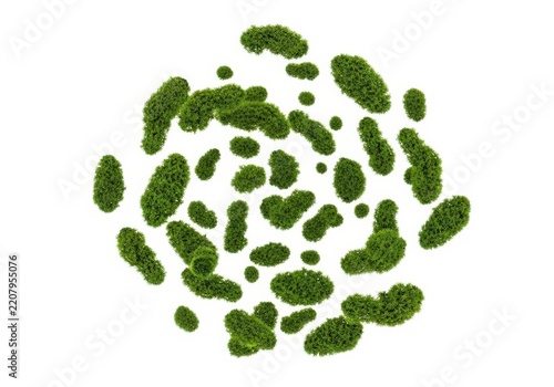 Top view of green moss patches arranged in a circle isolated on white background