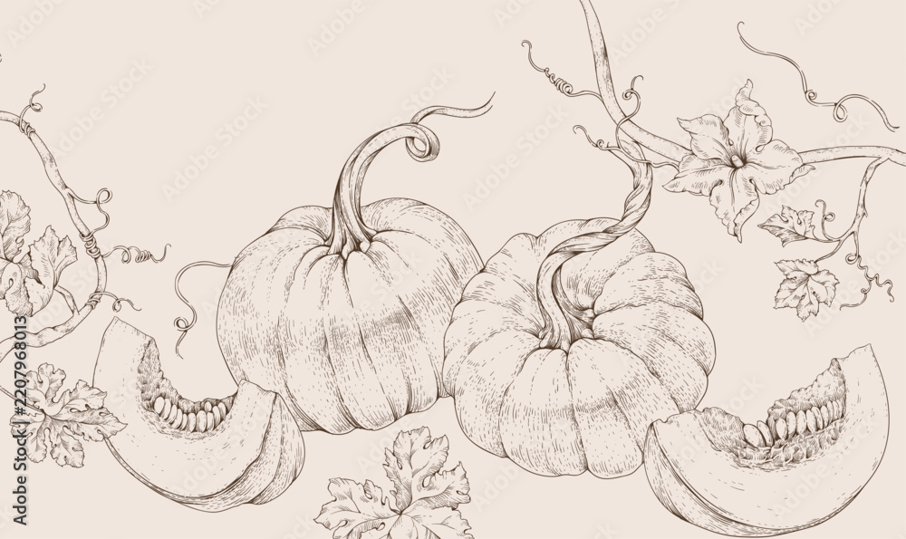 Naklejka premium Background with pumpkin with flowers and leaves. Line art hand drawn illustration of botanical elements of farm and autumn. Fall and cozy seasonal designs