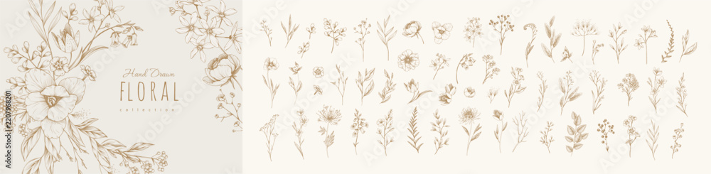 Fototapeta premium Set of detailed various flowers and foliage, intricate details and delicate forms. Hand drawn vector illustration with elegant botanical elements for invitation, save the date card