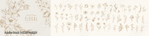Set of detailed various flowers and foliage, intricate details and delicate forms. Hand drawn vector illustration with elegant botanical elements for invitation, save the date card