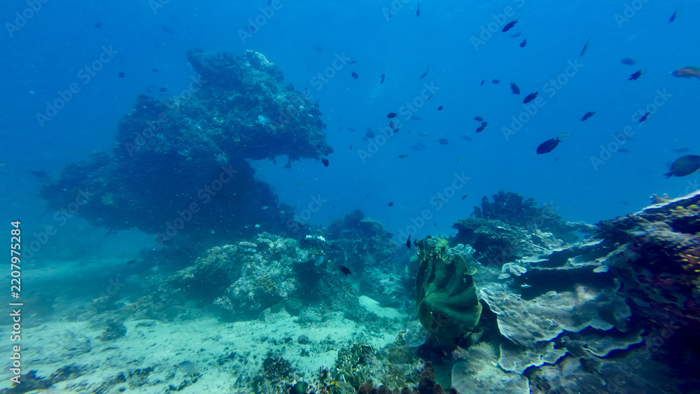 Naklejka premium A rocky coral seabed scattered with coral formations. Clear blue water surrounds the textured ocean floor in this underwater landscape.