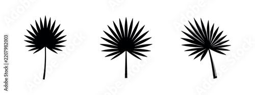 Fan Palm Leaves Silhouettes Set. Black vector icons of tropical palmate leaves, perfect for botanical and natural designs.