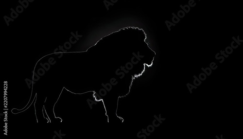 A striking silhouette of a lion is outlined in white against a deep black background.