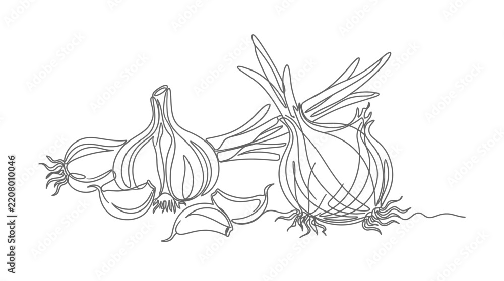 Fototapeta premium Continuous one line drawing of garlic and onion bulbs with cloves, minimalist flat vector illustration of healthy organic vegetables for kitchen decor and culinary design concepts.