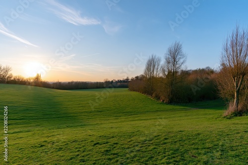 Green field illuminated by setting sun