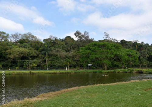 Bothanic garden Sao Paulo - Brazil 