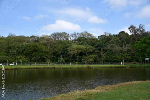 Bothanic garden Sao Paulo - Brazil 