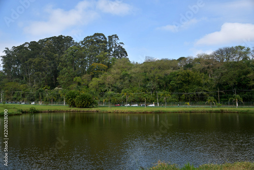 Bothanic garden Sao Paulo - Brazil 
