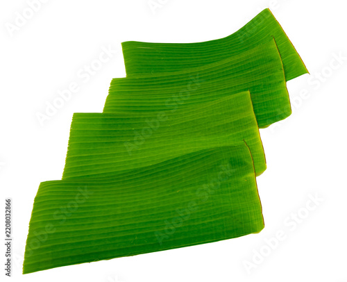 Fresh Green Banana Leaves for Food Serving Isolated on Transparent Background
