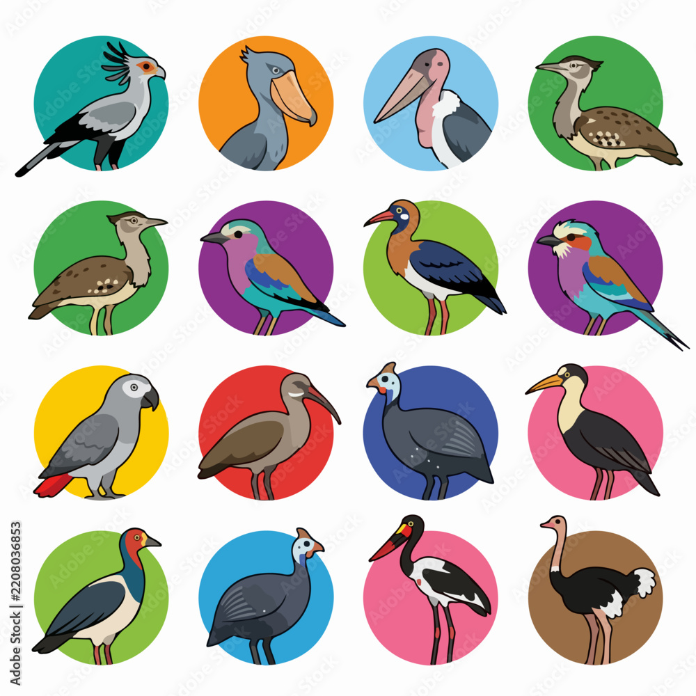 Obraz premium Cute cartoon bird character icon set in colorful circles