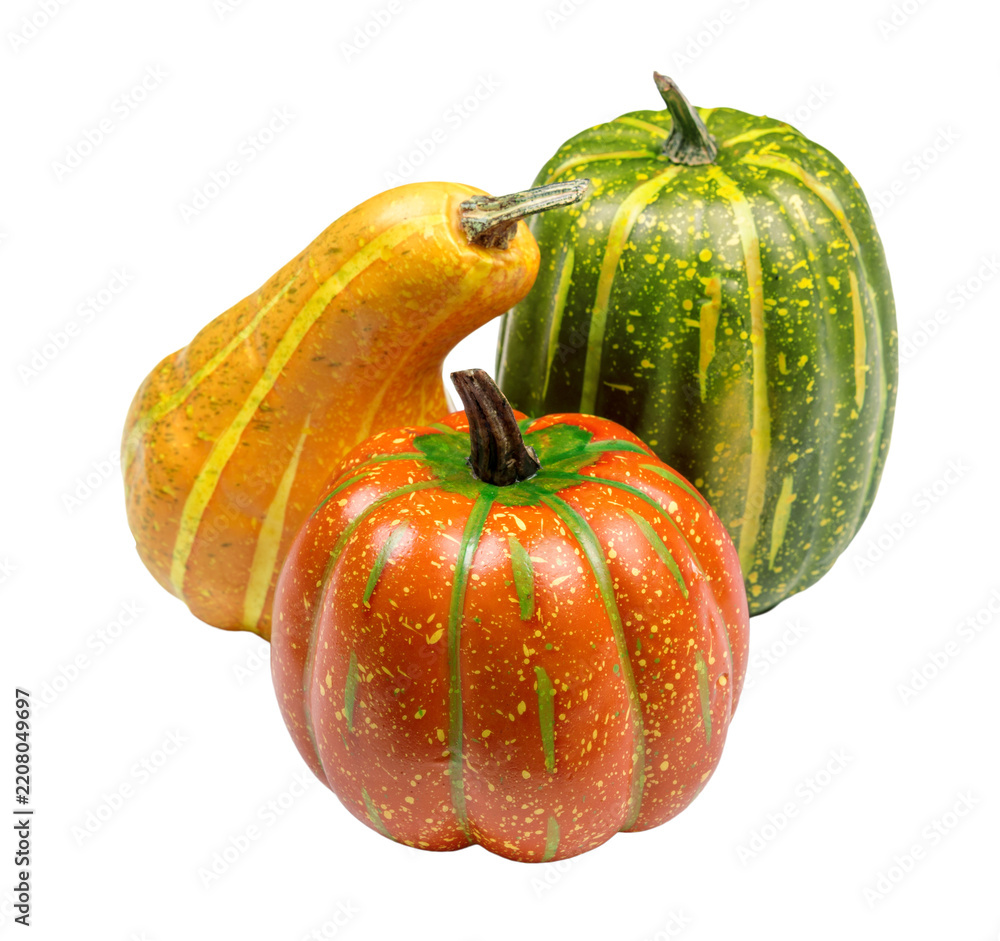 Obraz premium Colorful pumpkins and squash arranged together on a white background during the fall season