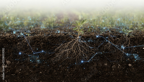 Infographic concept map illustrating regenerative agriculture and sustainable soil health data, wide view