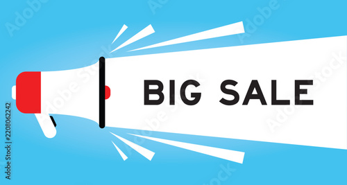 Color megaphone icon with word big sale in white banner on blue background