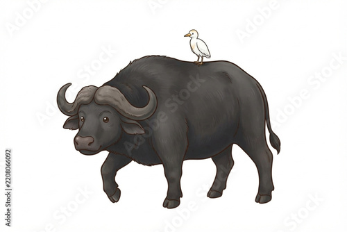 Friendly cartoon illustration of a sturdy black buffalo with a small white bird perched on its back