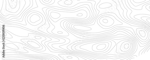 wood pattern background. wood Seamless pattern. Abstract wood line background. Vector Wood texture. wavy line background.