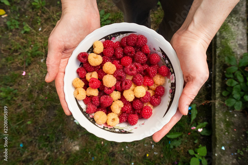 a full bowl of ripe red and yellow raspberries