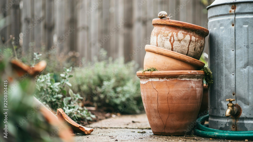 Obraz premium Stacked rustic terracotta pots with plants beside an outdoor water tank and garden hose