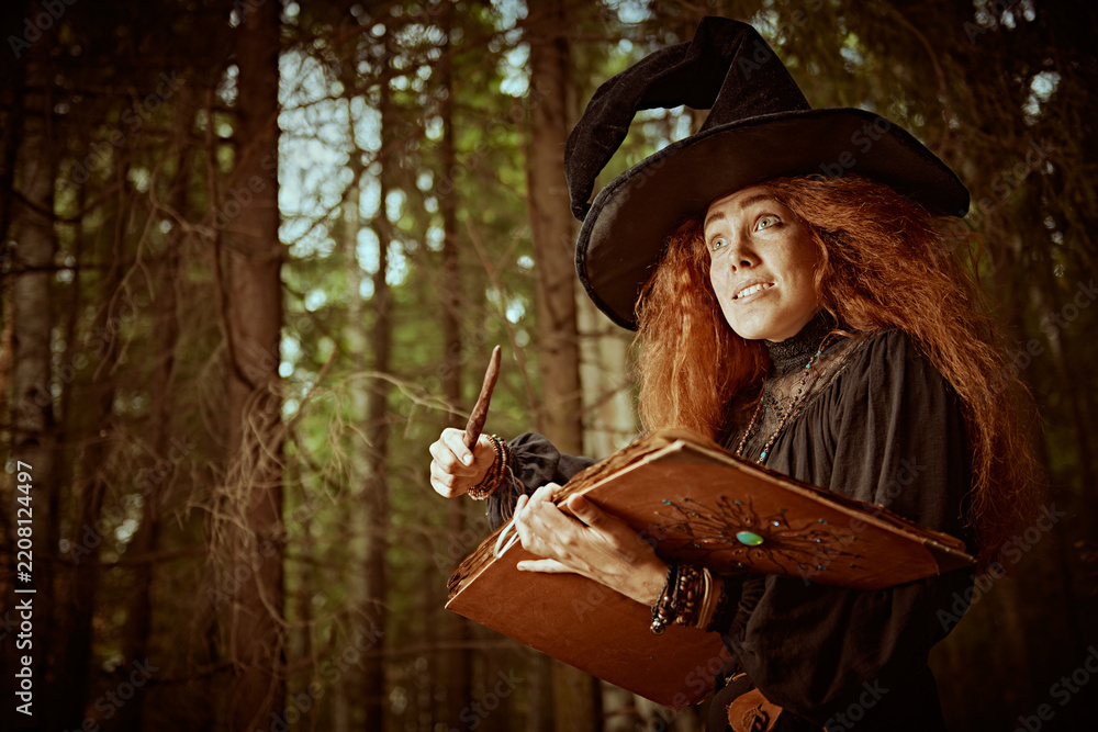 Obraz premium Enchanted Forest Witch
