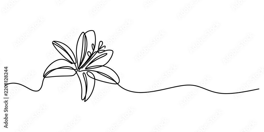 Fototapeta premium Continuous single line drawing of a beautiful lily flower
