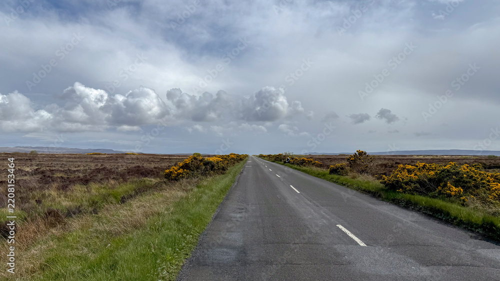 Obraz premium A scenic long road winding through the Scottish countryside, bordered by blooming yellow gorse bushes under a dramatic sky.