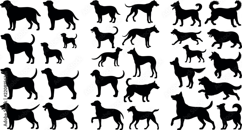 Fototapeta premium Dog Silhouettes Set Various Breeds Purebred Pets Standing Walking and Running Silhouettes Isolated on White