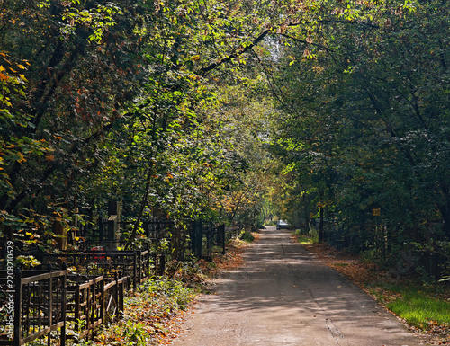 Cemetery alley during autumn time landscape