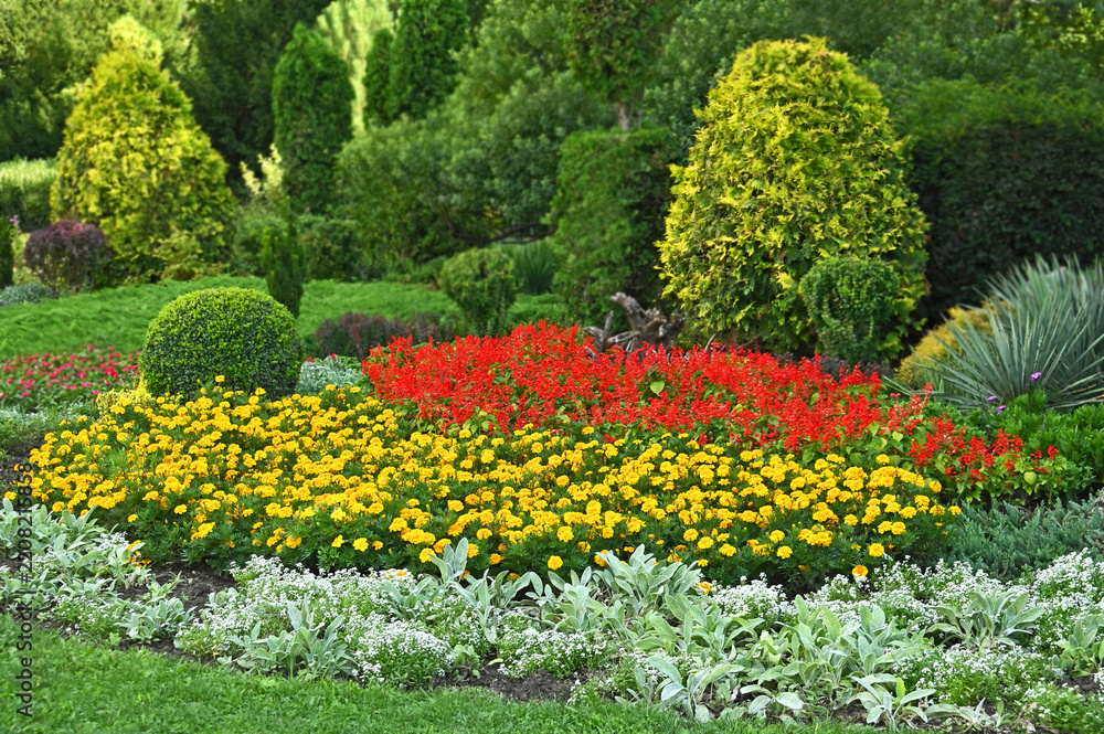 Obraz premium Flowerbed with variety plants at summer