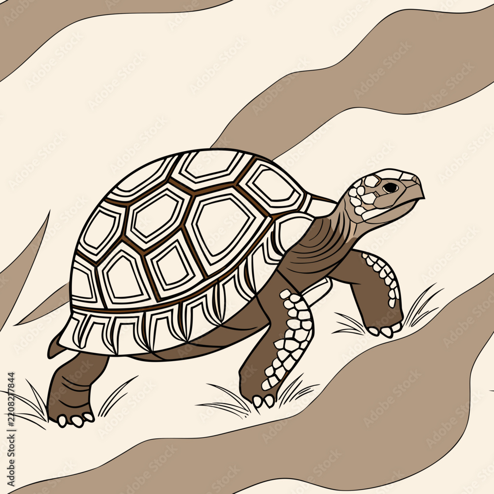 Fototapeta premium A tortoise vector with white shell and brown body, walking on a textured background with plants, design for nature.