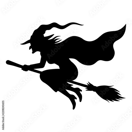 Flying Witch Silhouette
