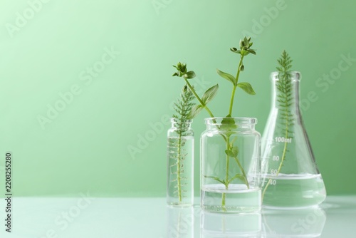Biochemistry. Glassware with different liquids, green plants on light table in laboratory