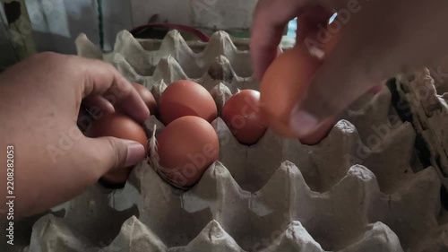 Hand Placing Brown Eggs into a Market Egg Tray