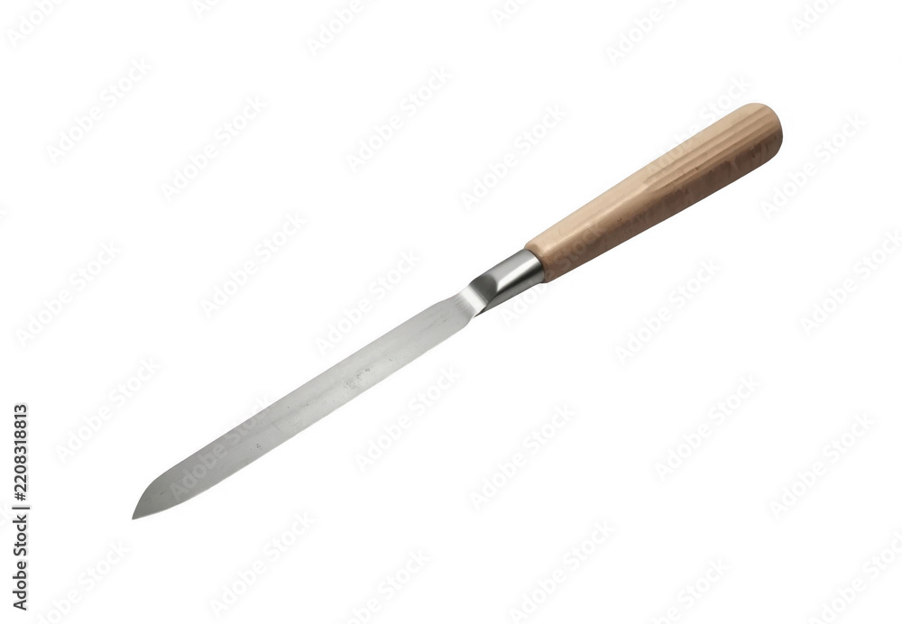 Fototapeta premium Kitchen utility knife with wooden handle and metal blade