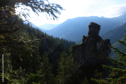 Aerial view of Mnichy Chochołowskie rock towers and Skorusi Źleb gully on a sunny summer day, Tatra Mountains