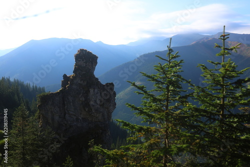 Aerial view of Mnichy Chochołowskie rock towers and Skorusi Źleb gully on a sunny summer day, Tatra Mountains