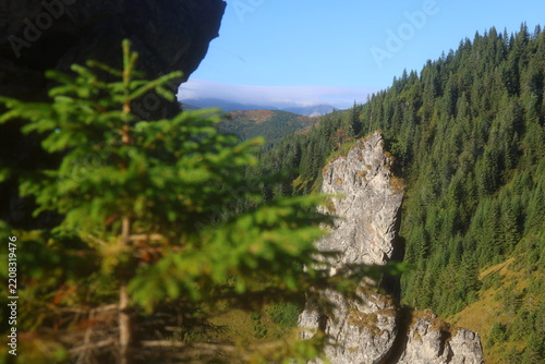 Aerial view of Mnichy Chochołowskie rock towers and Skorusi Źleb gully on a sunny summer day, Tatra Mountains
